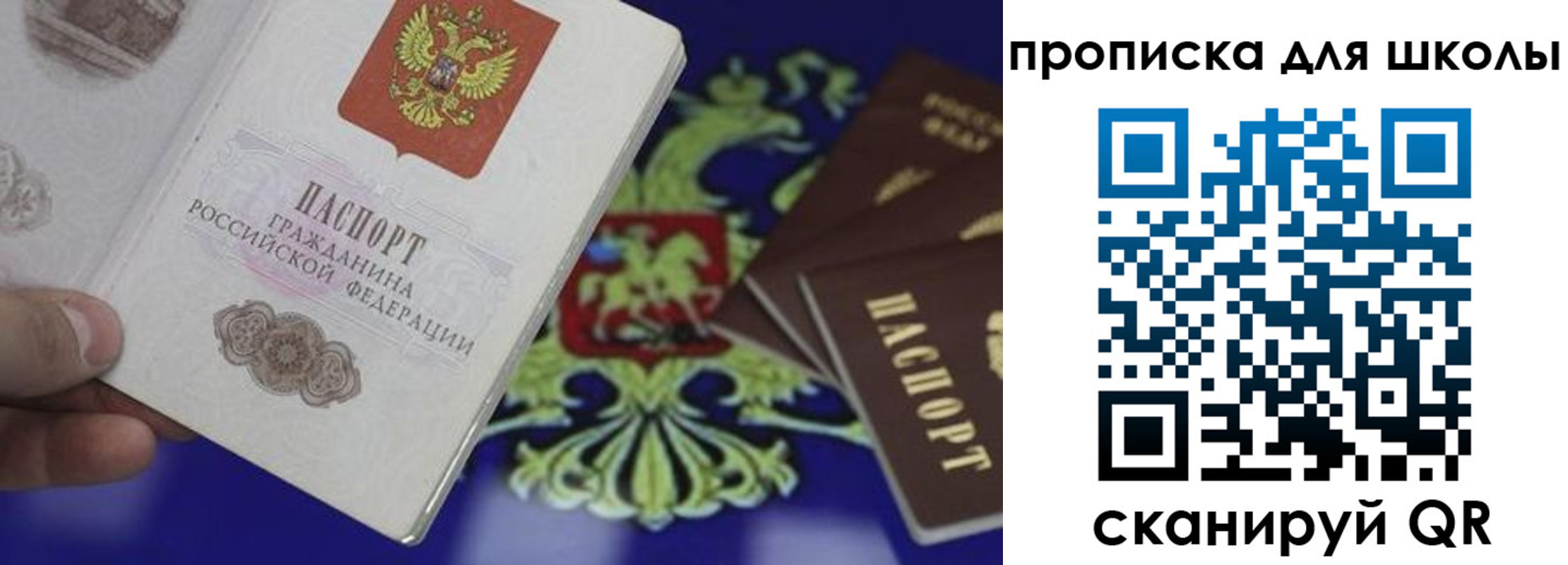 прописка паспорт в Бородино